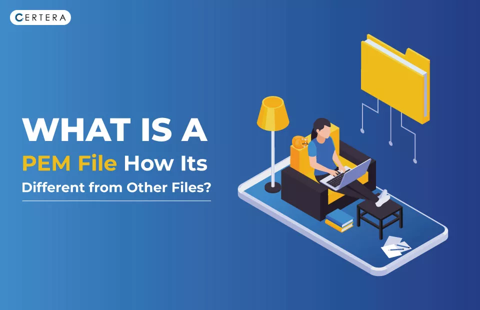 What is PEM File