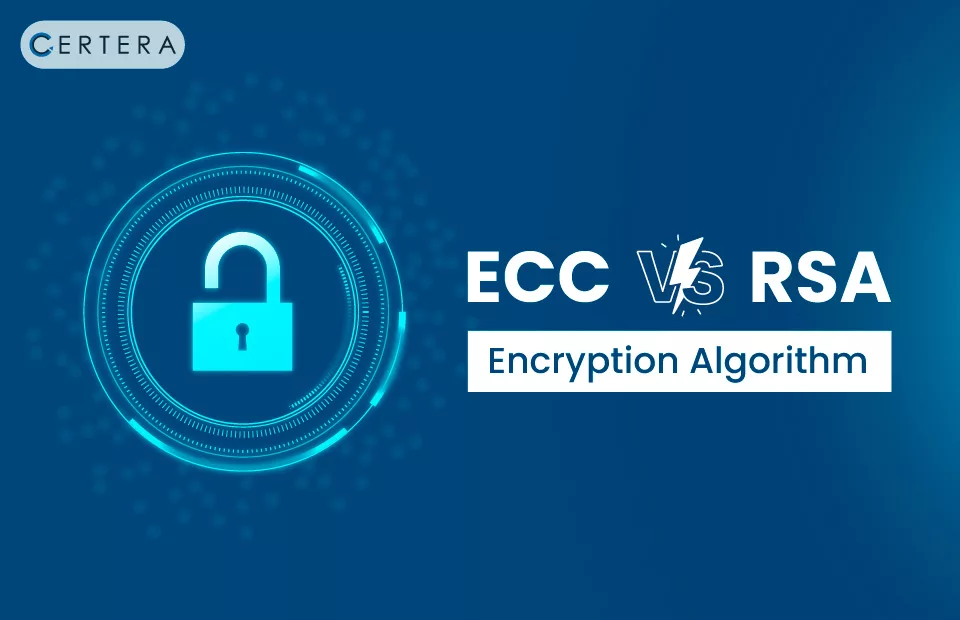RSA, DSA And ECC Encryption