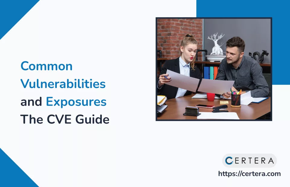 What is CVE Common Vulnerabilities and Exposures