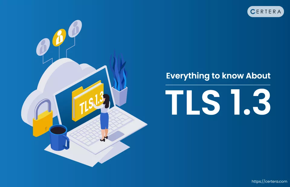 About TLD 1.3