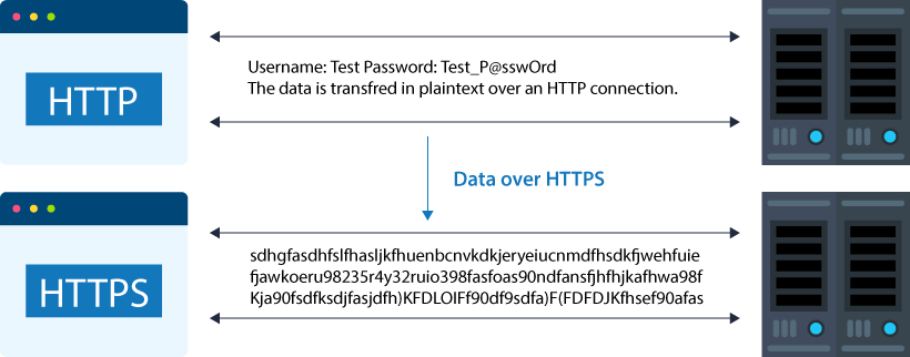 What is Port 443? A Technical Guide for HTTPS Port 443