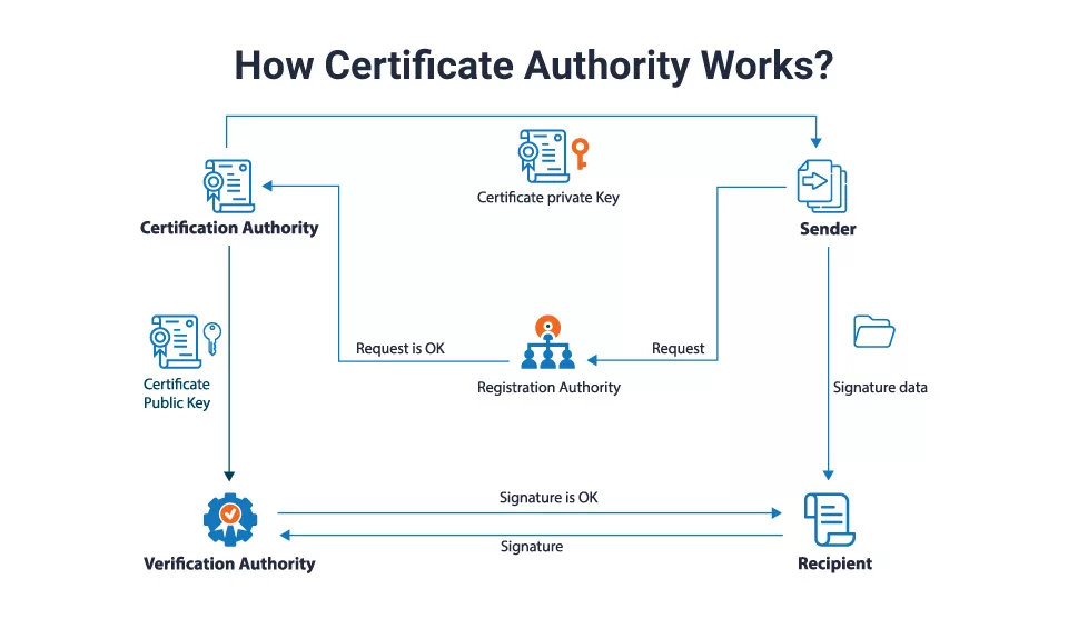How Does a Certificate Authority Work?