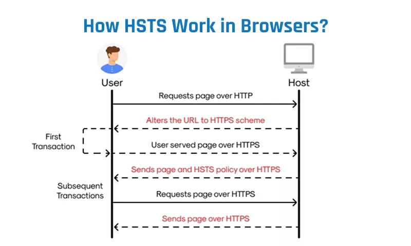 HSTS Works