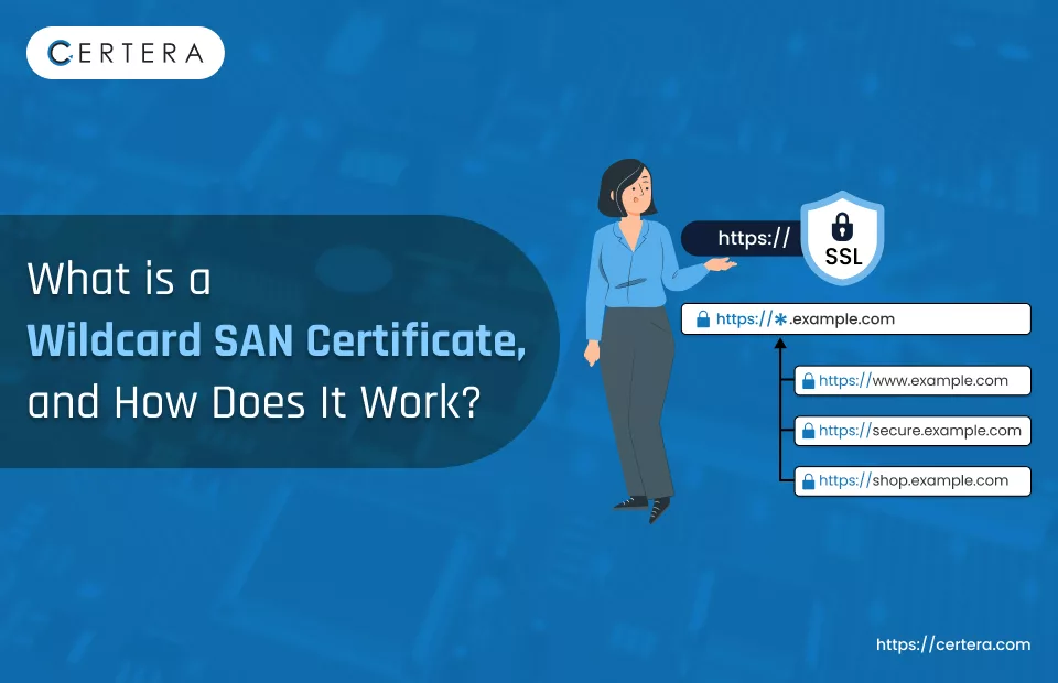 What is Wildcard SAN Certificate