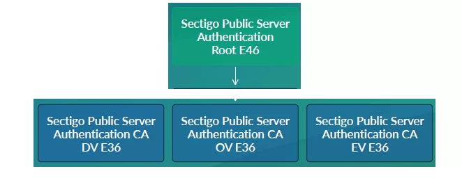 Sectigo ECC Root CA New