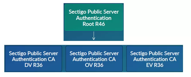 Sectigo New RSA Root CA