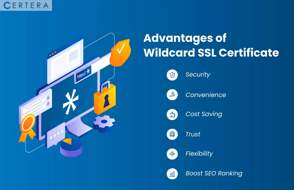 Top Advantages of Wildcard SSL Certificate