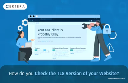 Check TLS Version of Website
