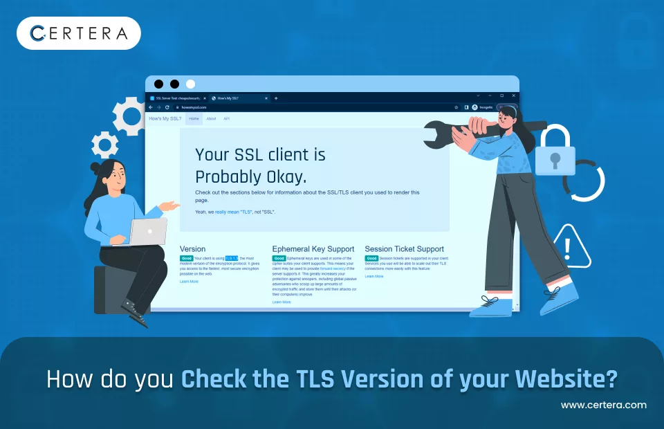 Check TLS Version of Website
