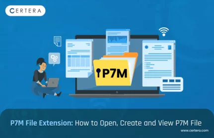 What is P7M File