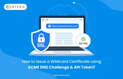ACME DNS-01 Challenge for Wildcard
